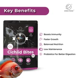 Zewa Feeds Cichlid Bites C5 — product photo 4