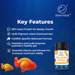 Zewa Feeds Goldfish Bites K4 — 45G pack (2)