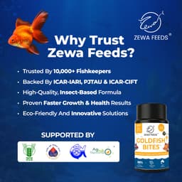 Zewa Feeds Goldfish Bites K4 — 45G pack (6)