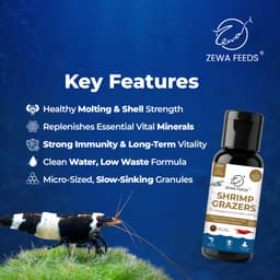 Zewa Feeds Shrimp Grazers S5 — 20G pack (3)