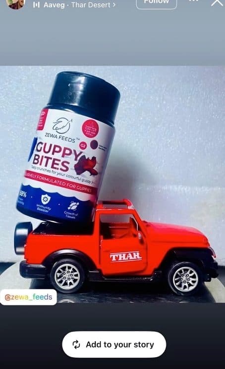 A customer's Instagram story featuring a bottle of Guppy Bites