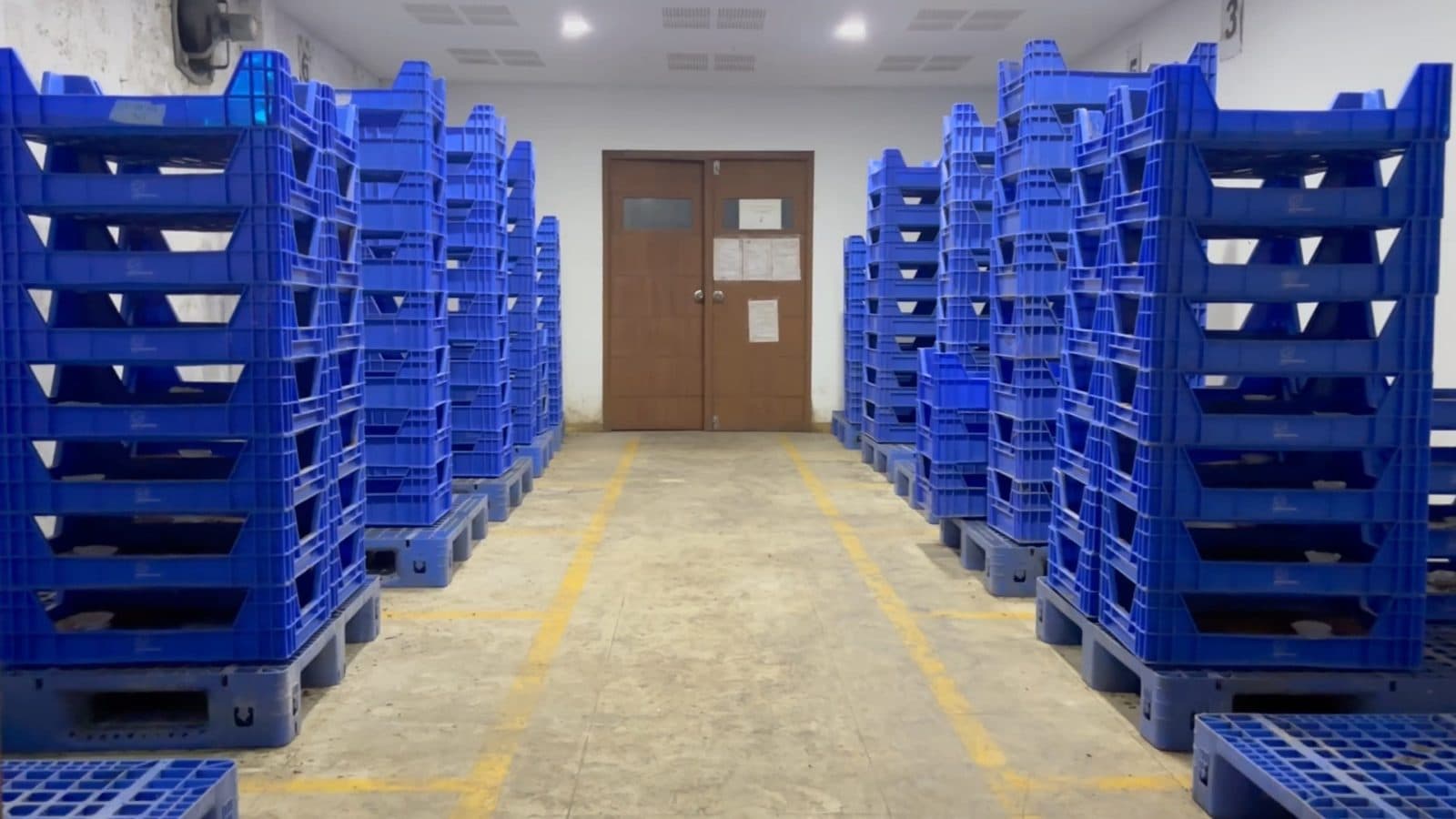 Rows of rearing crates inside Zewa's insect farm