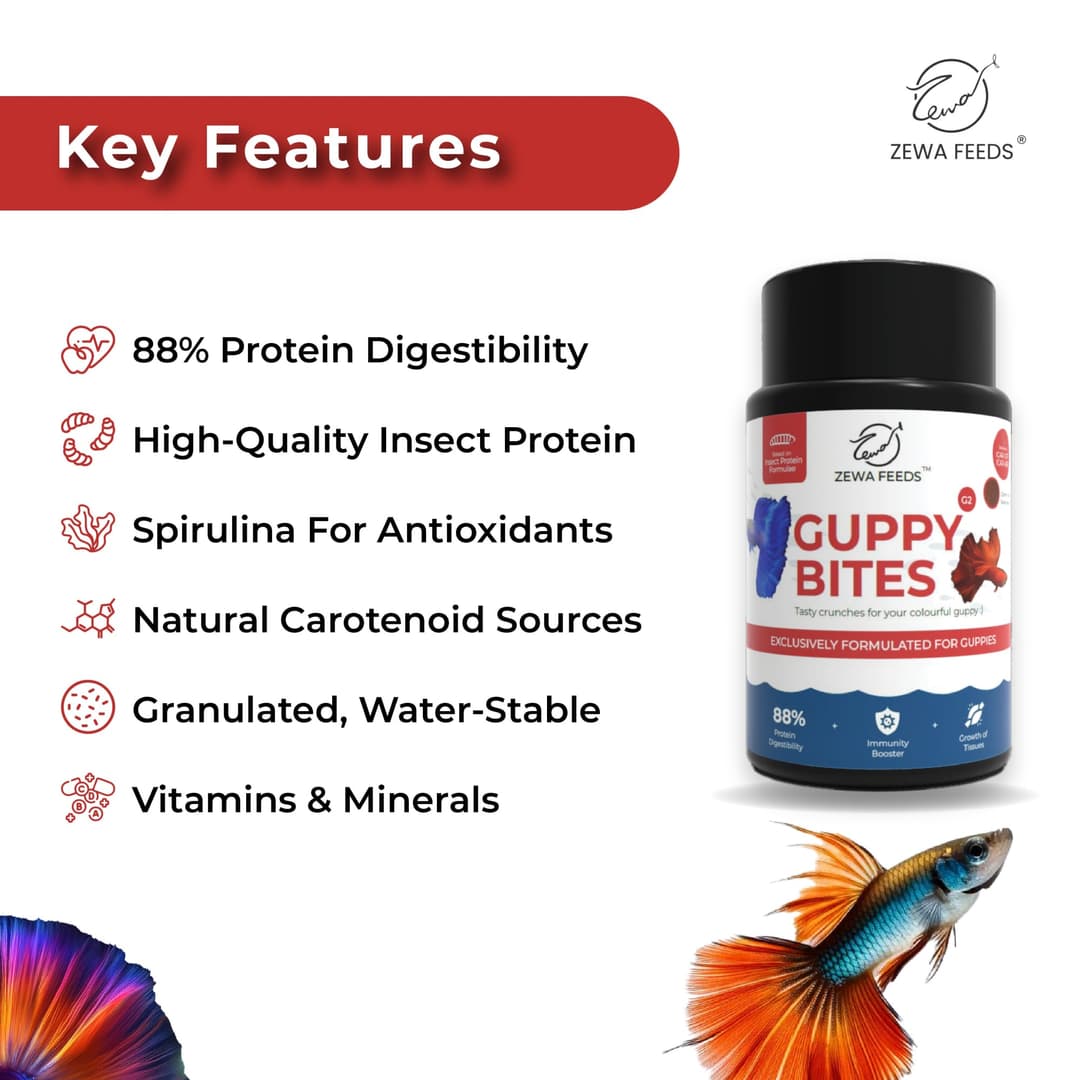 Zewa Feeds Guppy Bites G2 2