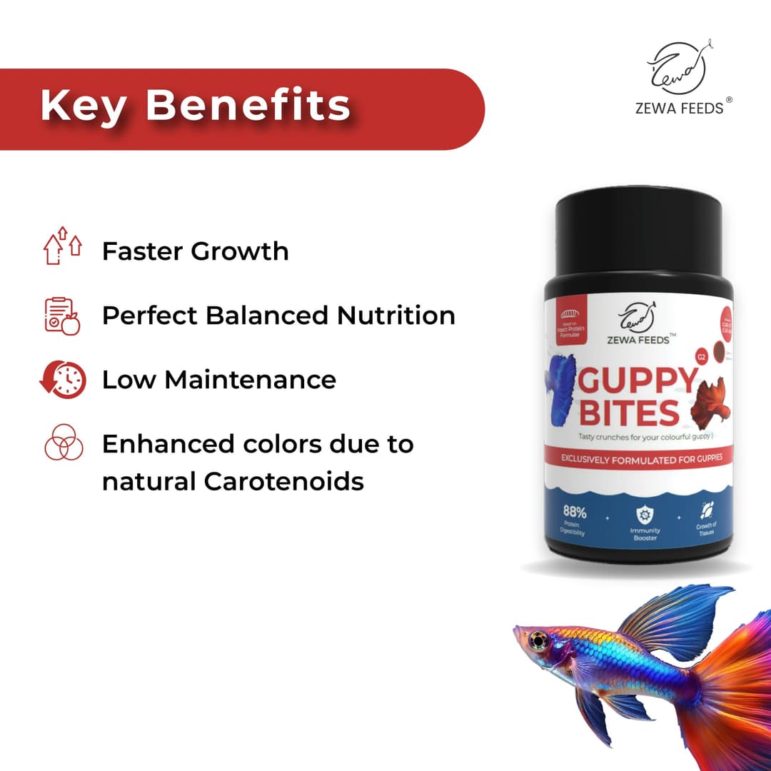 Zewa Feeds Guppy Bites G2 3