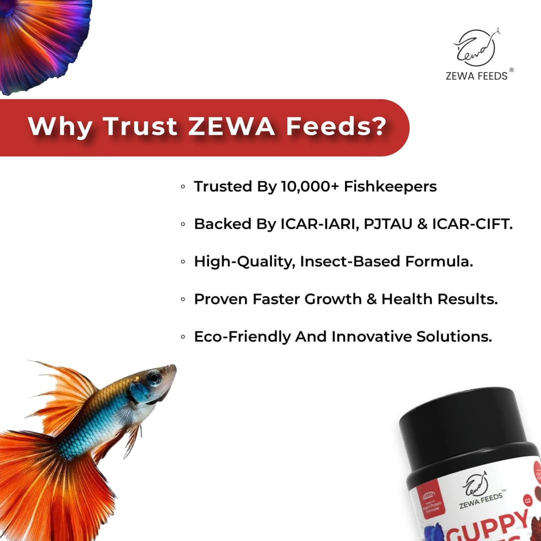 Zewa Feeds Guppy Bites G2 4